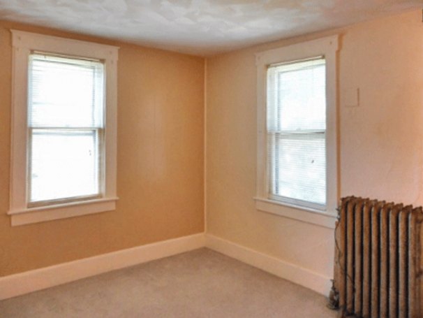 Windows in Living Room / Bedroom