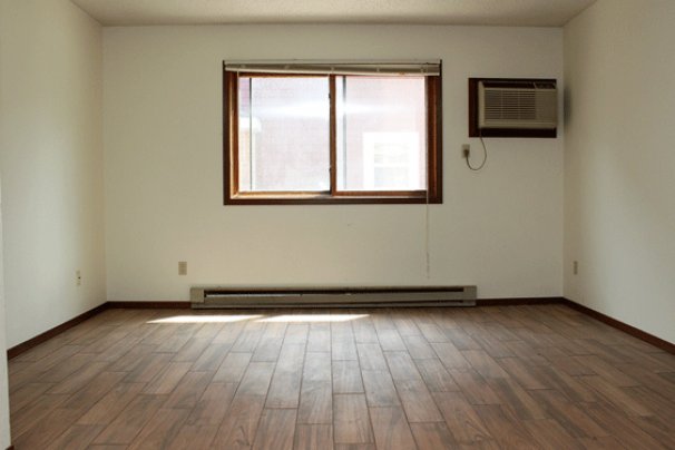 Living Room - New wood plank porcelain flooring!