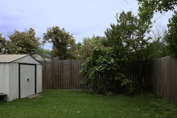 Back Yard and Storage Shed